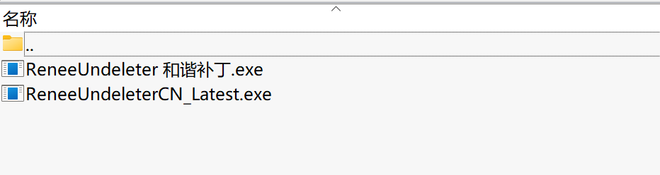 都教授数据恢复Renee Undeleter下载｜汉化数据恢复软件单文件版（32/64位通用）