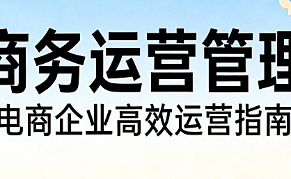 电商企业商务运营管理,实务指南战略制定流程优化与团队协同落地路径解析