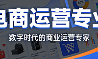 电商运营专业学科体系，解析核心课程设置就业方向与能力培养路径探讨