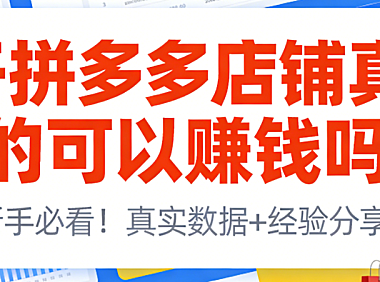 开拼多多店铺能否实现盈利,辉哥结合八年实战经验解析平台特性与运营关键要素