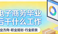 电子商务专业毕业生就业方向，解析主流岗位能力要求与职业发展路径探析