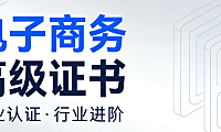 电子商务高级证书，权威解析报考条件备考策略与职业发展价值实务指南