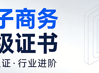 电子商务高级证书，权威解析报考条件备考策略与职业发展价值实务指南