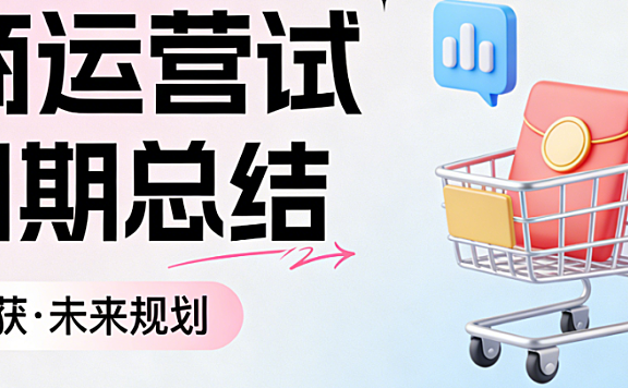电商运营试用期工作总结,核心成果梳理问题反思与职业成长路径探讨