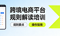 跨境电商平台规则解读培训，核心框架合规要点与风险防控实务指南