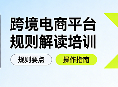 跨境电商平台规则解读培训，核心框架合规要点与风险防控实务指南