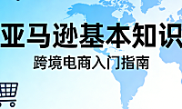 亚马逊跨境电商基础知识，解析卖家类型物流模式与平台合规运营要点