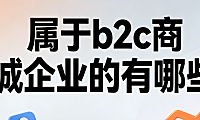 B2C商城企业典型代表，解析主流运营模式与行业实践特征探讨