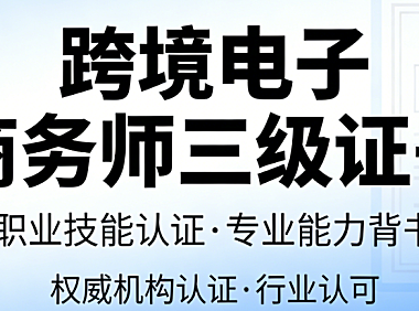 跨境电子商务师三级证书，报考指南价值解析与职业发展路径探讨