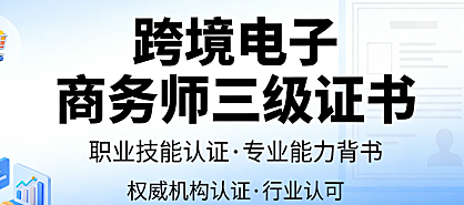 跨境电子商务师三级证书，报考指南价值解析与职业发展路径探讨