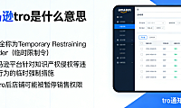 亚马逊TRO临时限制令法律，解析风险防控与跨境卖家应对策略实务探讨
