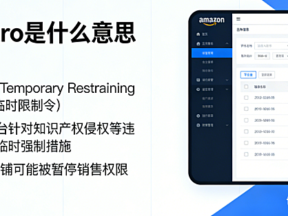 亚马逊TRO临时限制令法律，解析风险防控与跨境卖家应对策略实务探讨