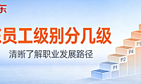 京东员工职级体系，解析管理专业序列划分与职业发展路径实务探讨