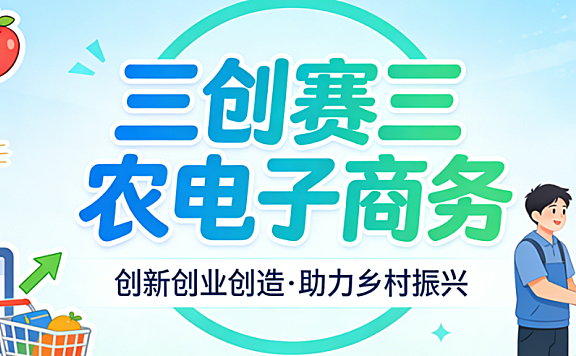三创赛三农电子商务项目,解析创新模式与乡村振兴实践路径探讨