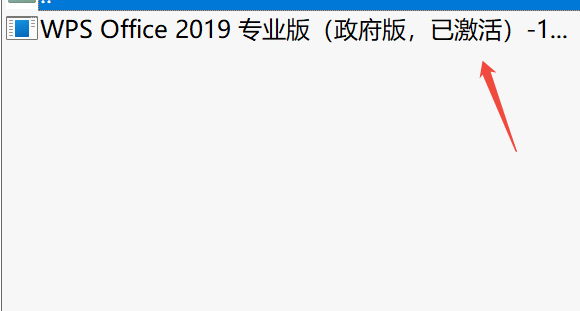 WPS2019政府专业版