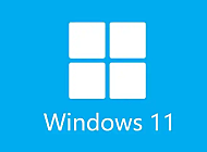 Microsoft Windows 11系统
