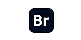 Adobe Bridge CC 2020