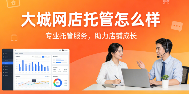 大城网店托管怎么样