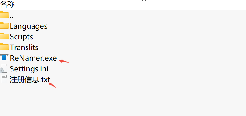 ReNamer下载｜专业文件批量重命名工具v7.2 便携版