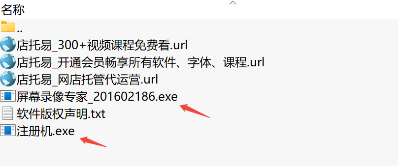 屏幕录像专家下载