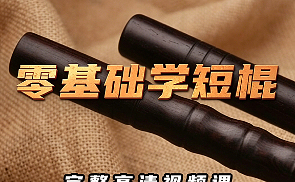 零基础学短棍视频课程_卡利短棍+盾卫术+EDC工具防身教学_高清实战网课