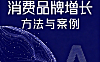 消费品牌增长方法与案例视频教学_新消费品牌从0到1实战课_消费王八字经方法论
