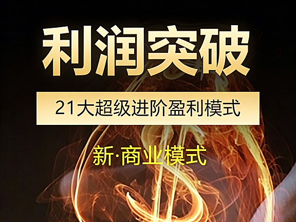 21大盈利模式视频课_企业利润倍增实战教程_商业模式创新与资本对接指南