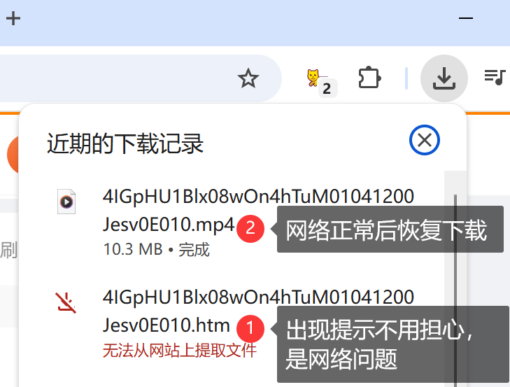 下载插件偶尔抽风无法提取视频文件也是正常的