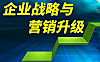 企业战略与营销升级课_切割营销十六把利刃_精准定位破局增长实战教程