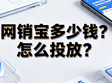 网销宝多少钱?怎么投放? 1688数字营销实操指南