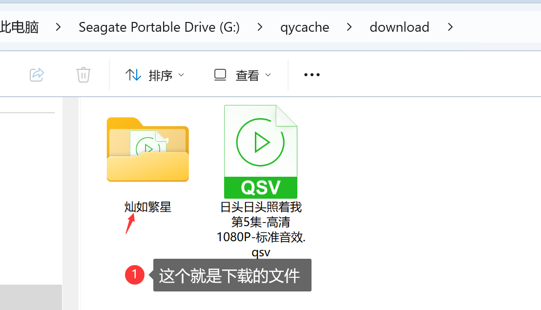 爱奇艺QSV视频转MP4最简单方法教程，附格式转换器转码工具